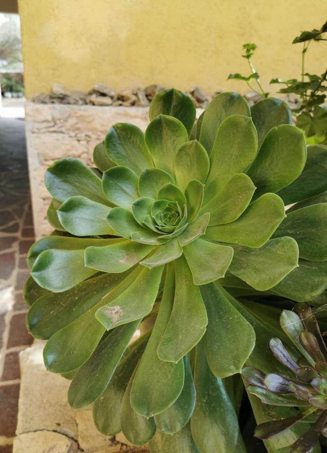 Posada Casa Del Minero Pozos  Exteriér fotografie